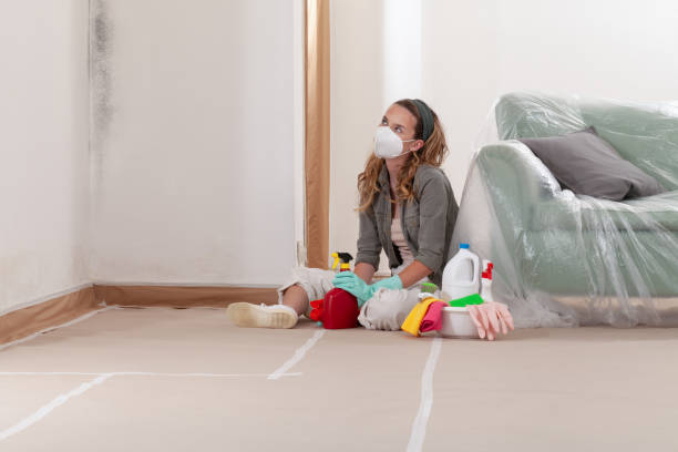 Reliable Attic Mold Removal contractor in Alto, TX by WQB Mold Removal